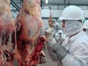 Com fim da vacinação, expectativa é que países importem mais carne bovina de MT