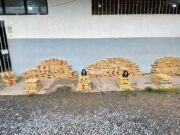 Polícia prende homem com 500 quilos de maconha escondidos em borracharia em Cuiabá