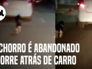 Cachorro é abandonado e corre atrás de carro no Rio de Janeiro; veja