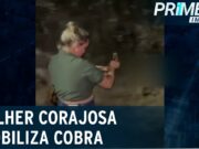 Mulher imobiliza cobra com as próprias mãos e a coloca na mata no RJ; veja