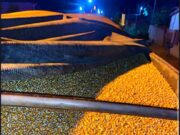 Homem é preso transportando 40 toneladas de milho sem nota fiscal