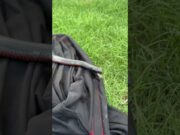 Cobra põe a cabeça para fora da boca de outra serpente durante resgate na Austrália; veja