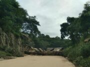 Motorista fica preso as ferragens após caminhão tombar na Serra de São Vicente