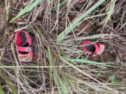 Autoridades buscam por corpo de menino jogado em rio