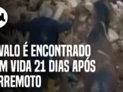 Vídeo mostra cavalo sendo encontrado com vida em escombros na Turquia após 21 dias