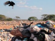 Mesmo com anúncio de desativação, aterro recebe entulho
