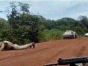 Força Tática mata mais um integrante do grupo que aterrorizou Confresa