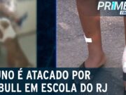 Aluno é atacado por pitbull dentro de escola municipal do RJ; veja