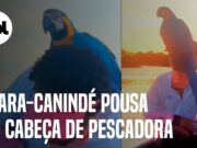 Vídeo mostra o momento em que Arara-canindé pousa em cabeça de pescadora em MS