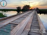 Governo vai trocar mais de 20 pontes de madeira para concreto na Transpantaneira