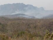 Agentes queimam áreas de Chapada agora para evitar tragédias na seca