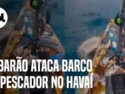 Assustador! Tubarão tigre ataca barco de pescador no Havaí; veja