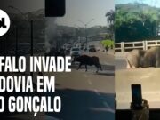 Garçom deixa cair torre com 8 bandejas de cerveja na França; veja