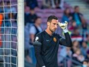 Testemunha viu goleiro do PSG recebendo ‘várias patadas’ de cavalo na cabeça, diz jornal