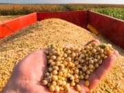 Polícia recupera R$ 206 mil de empresa de cereais que caiu no golpe do ‘falso intermediador’