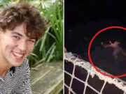 Desafiado, jovem pula em mar infestado de tubarões e desaparece; veja