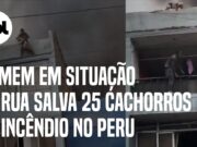 Homem em situação de rua salva 25 cachorros durante incêndio no Peru; veja