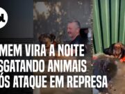 Destruição de represa na Ucrânia: Homem passa a madrugada resgatando animais