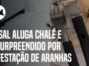 Assustador! casal aluga chalé e é surpreendido por infestação de aranhas; veja