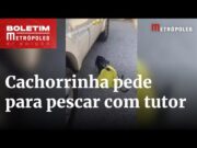 Cachorra viraliza na web ao chorar e “pedir” para pescar com tutor