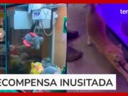 Em máquina de pelúcia, homem se surpreende ao ‘pescar’ gato de verdade; veja vídeo