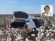 Servidora da Saúde de Rondônia morre capota carro em plantação de algodão em Diamantino