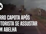 Carro capota após motorista se assustar com abelha no Ceará; veja