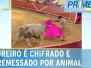 Toureiro é arremessado para o alto duas vezes por animal durante evento; veja