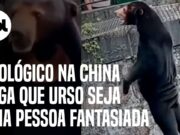Urso humano? Zoológico da China é acusado de enganar público; veja