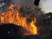 Com maior número de incêndios na Amazônia, Nova Maringá tem uma brigada temporária