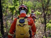 Incêndio em parque estadual é controlado após 20 dias