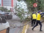 Chuva e vendaval causam transtornos em Cuiabá e VG