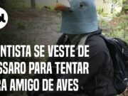 Cientista se veste de pássaro por um ano para tentar ‘virar amigo’ de aves; veja