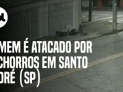 Homem é atacado por cachorros e acaba de cueca na rua em Santo André (SP); veja
