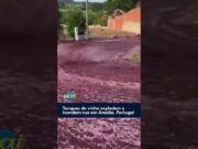 Tanques de vinho explodem e inundam rua em Anadia em Portugal; veja