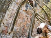 MT abriga segundo sítio arqueológico mais antigo do país