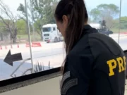 PRF apreende 200 mil reais em dinheiro falso dentro de mochila