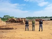 Sema embarga empreendimentos em MT por fraude em plano de manejo