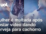 Mulher é multada após postar vídeo dando cerveja para cachorro em SP; veja