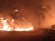 Fogo atinge Transpantaneira e se aproxima de pousadas