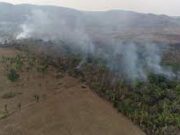 Chuvas amenizam, mas incêndio segue ativo no Pantanal