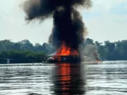 PF e Ibama destroem máquinas de garimpos ilegais; danos ambientais chegam a R$ 20 milhões