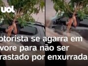 Motorista se agarra em árvore para não ser arrastado por enxurrada em MG; veja