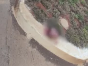 Uma cabeça humana e dois corpos carbonizados são encontrados em MT