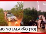 Onça-pintada flagrada escalando fosso em Zoológico do DF é vista no alto de tronco