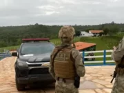 Vídeo com aparição de criaturas de 3,5 metros no litoral do Paraná viraliza; veja