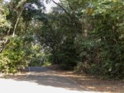 Parques na capital são opções de lazer ao ar livre durante feriado prolongado de Carnaval