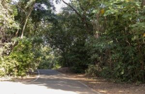 Parques na capital são opções de lazer ao ar livre durante feriado prolongado de Carnaval