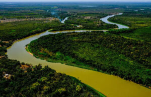Mesmo com chuva, rios do Pantanal estão com níveis de água abaixo da média