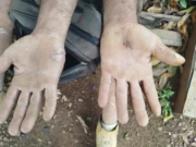 Polícia prende quatro pessoas por trabalho análogo à escravidão e crime ambiental